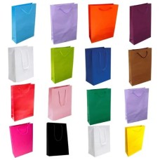 Bolsa de Papel 17x25x9 - Pacote 10 unidades