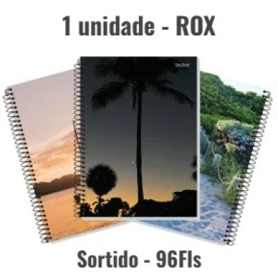 Caderno universitário - Capa Dura - 1 materia - espiral 96 Fls - Sortido