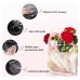 Sacola Presente Plastica PVC Transparente 20x20x8 - Média ( 5 ou + no PIX R$ 3,00 cada)